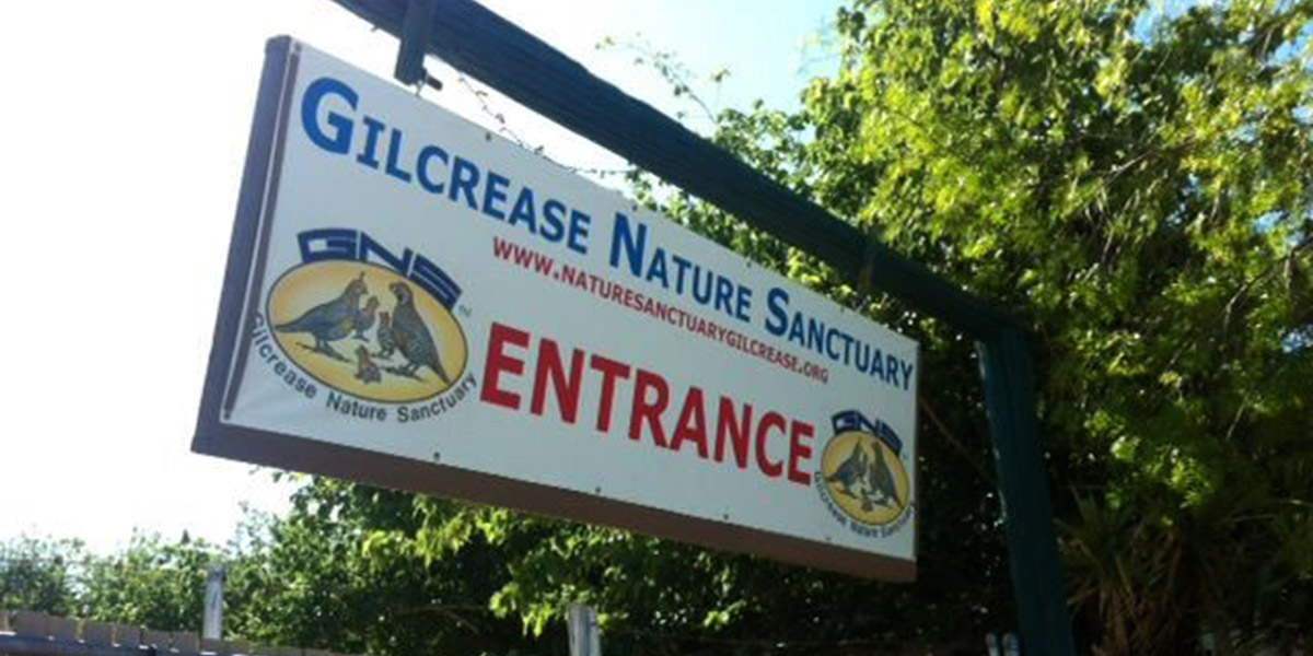 Location Spotlight: Gilcrease Nature Sanctuary