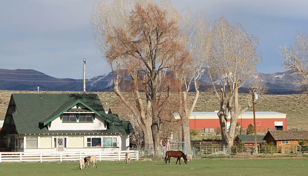Location Spotlight: Corley Ranch