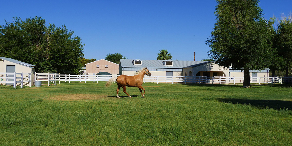 Location Spotlight: Gala Stud Ranch