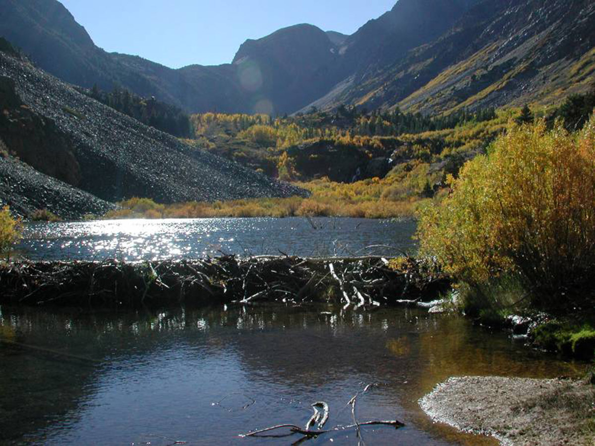 Location Spotlight: Beaver Dam State Park | Nevada Film Office